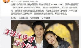 娱乐吃瓜明星离婚,当红明星离婚事件引发热议